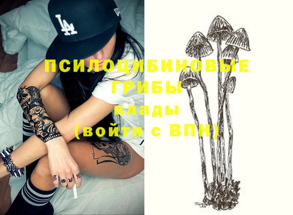 мяу мяу мука Пролетарск