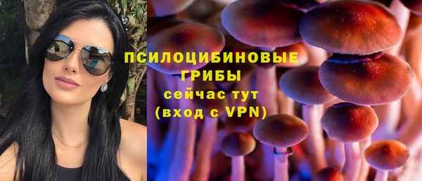 мдпв Белокуриха