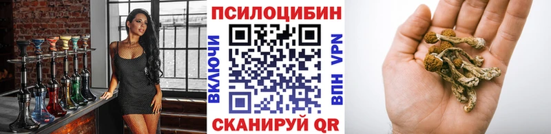 Галлюциногенные грибы Cubensis Шарыпово